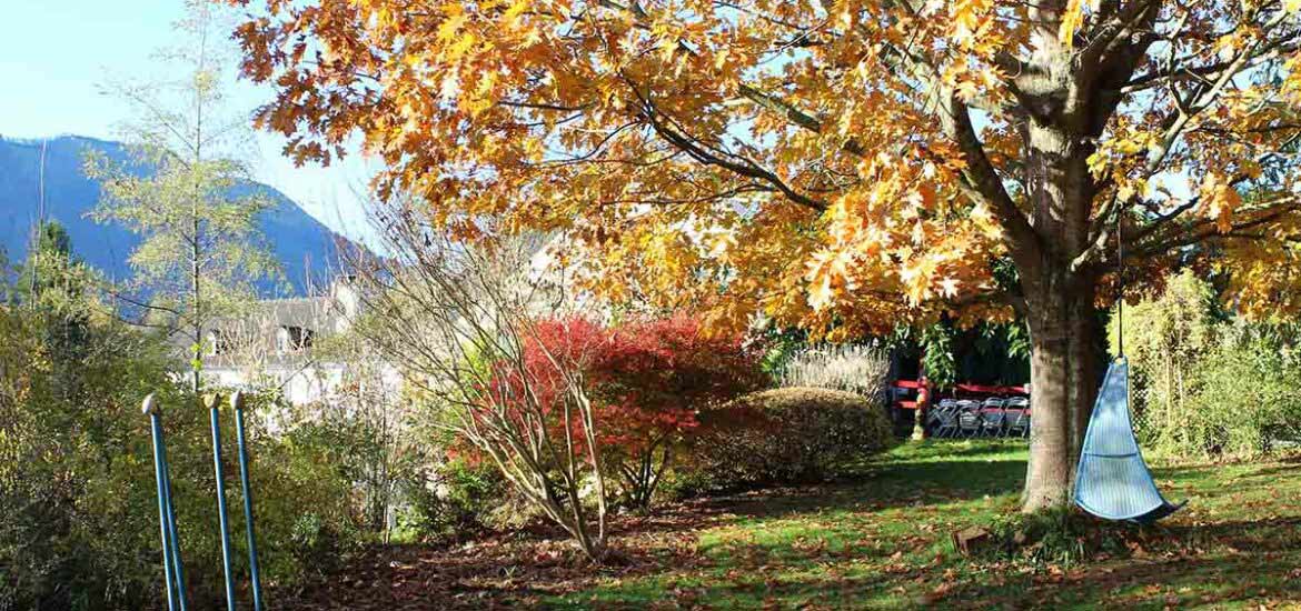 automne jardins du cot